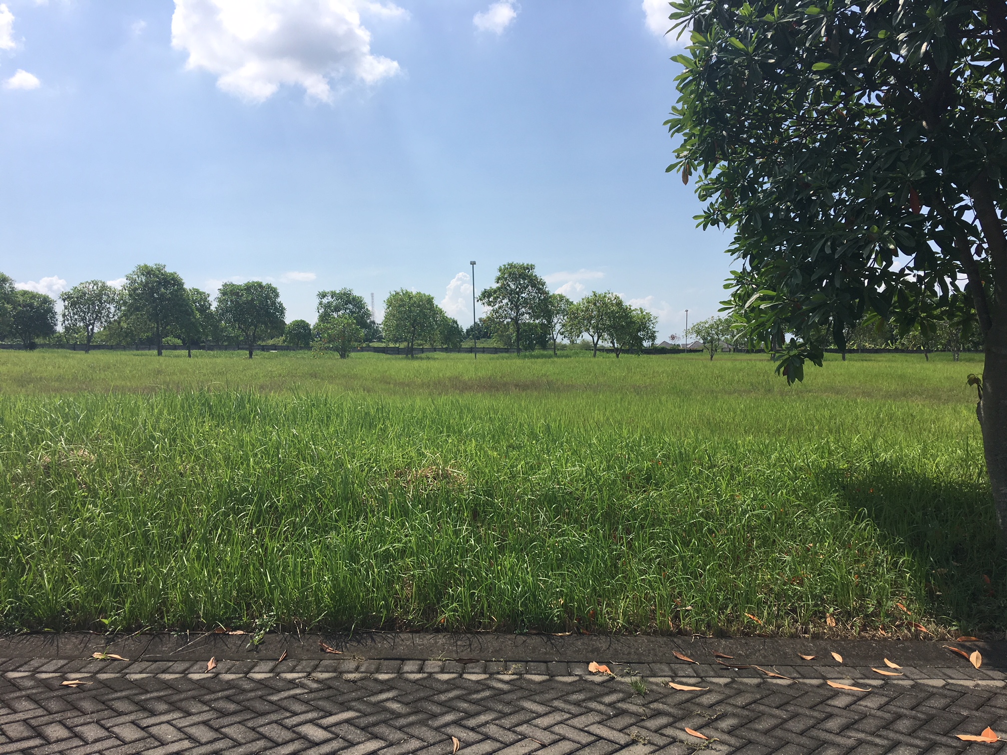 tanah disewakan grand harvest surabaya