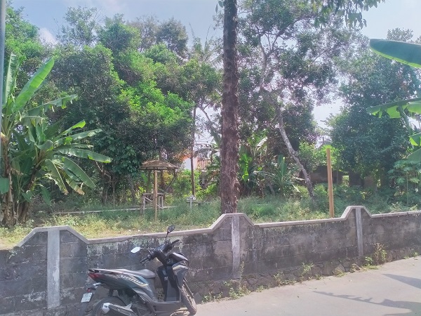 Tanah pekarangan strategis untuk kavling di sumberadi sleman
