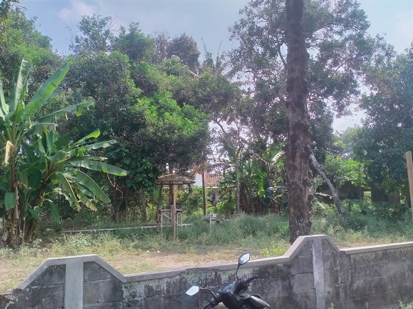 Tanah pekarangan strategis untuk kavling di sumberadi sleman
