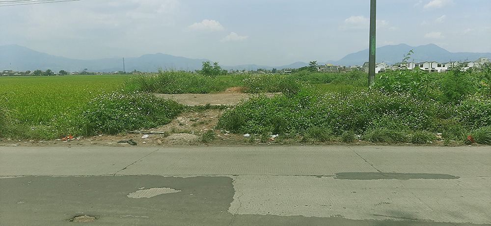 TANAH UTK PERUMAHAN DI JL. RAYA MAJALAYA-RANCAEKEK KAB, BANDUNG