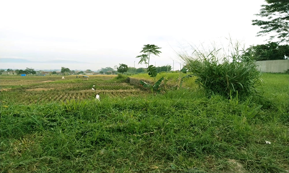 TANAH SUPER STRATEGIS DEKAT PINTU TOL SOREANG KABUPATEN BANDUNG