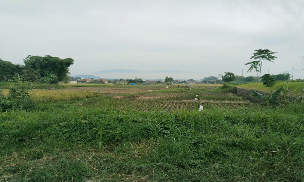TANAH SUPER STRATEGIS DEKAT PINTU TOL SOREANG KABUPATEN BANDUNG