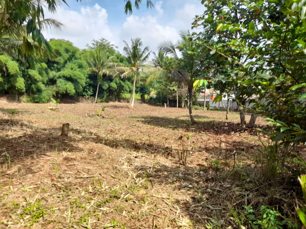 Dijual Tanah Turun Drastis, Luas 5070 m2 Area Bodetabek PR1899