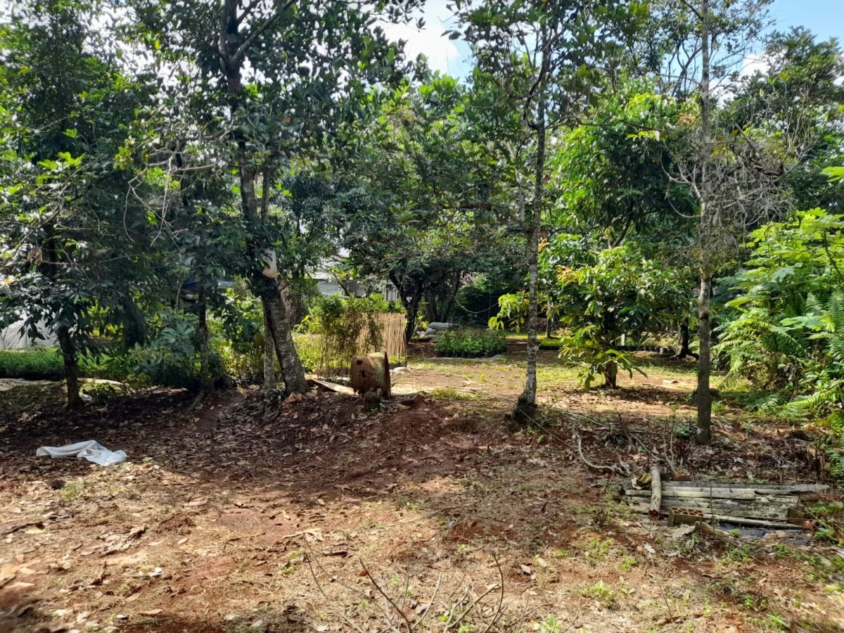 Dijual Tanah Turun Drastis, Luas 5070 m2 Area Bodetabek PR1899