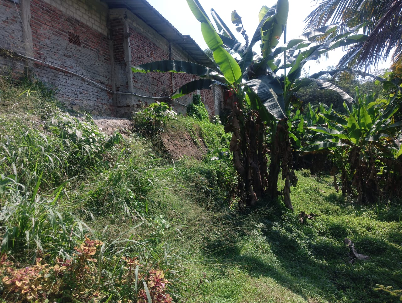 Kios Dan Tanah Luas Dibelakangnya Bisa Buat Kontrakan Atau Usaha