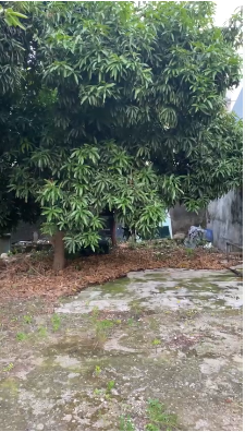 Dijual tanah hunian di area Kebayoran Lama, Grogol Selatan