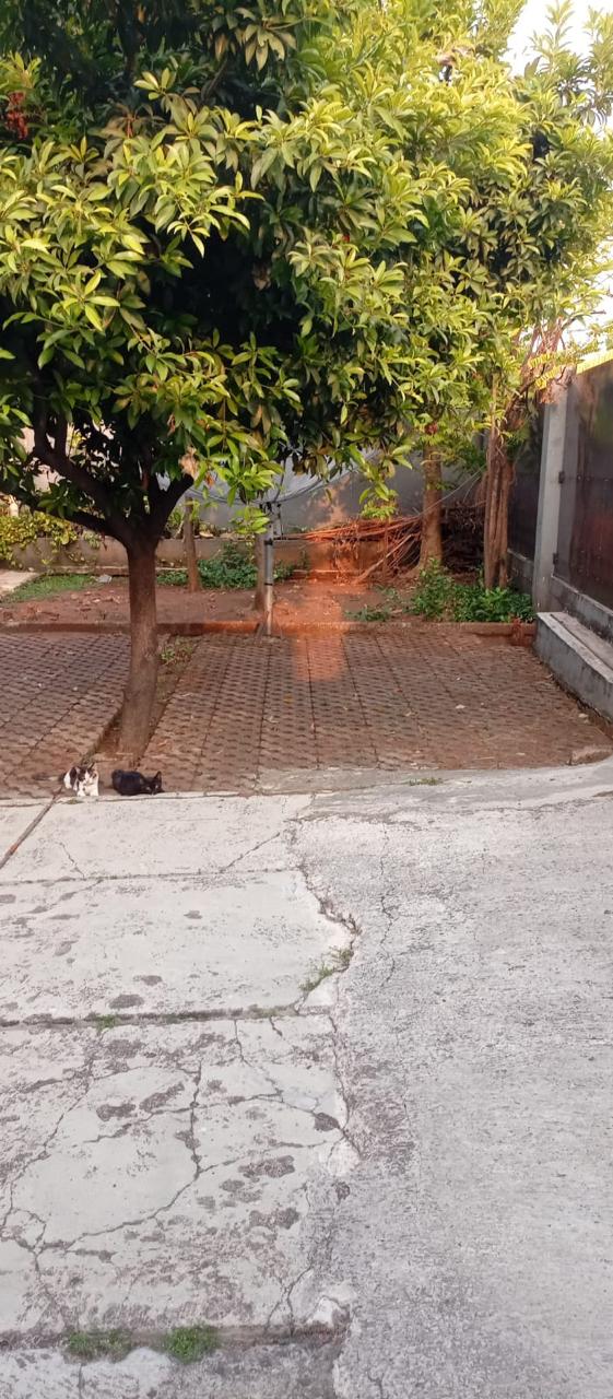 Dijual rumah Pondok Bambu, Duren Sawit, Jakarta Timur