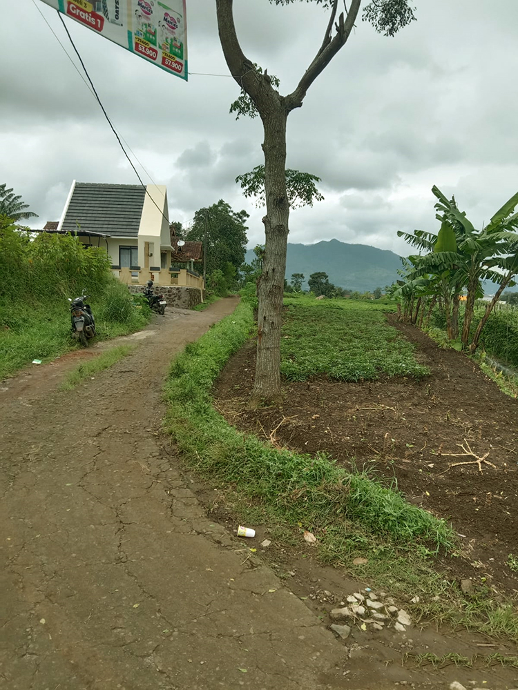 Tanah Utk Perumahan Dekat GT. Pamulihan Tanjungsari Sumedang