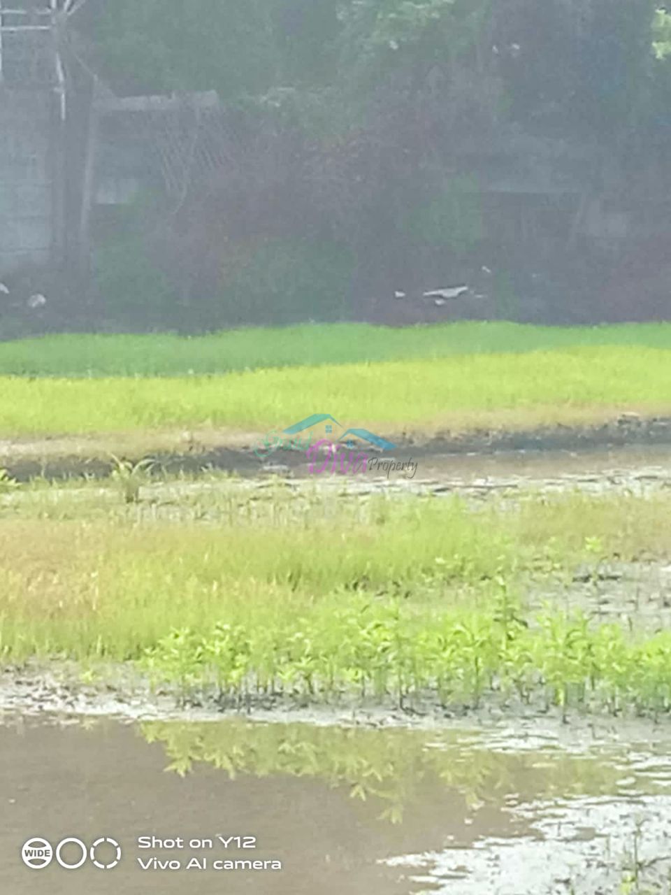 TANAH DI DESA KARANG SARI CIKARANG TIMU