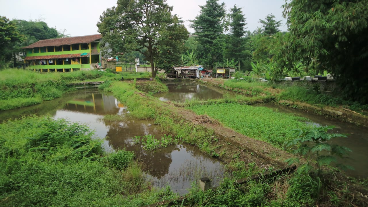 Dijual cepat Tanah dan Empang kawasan Cihideung Hilir