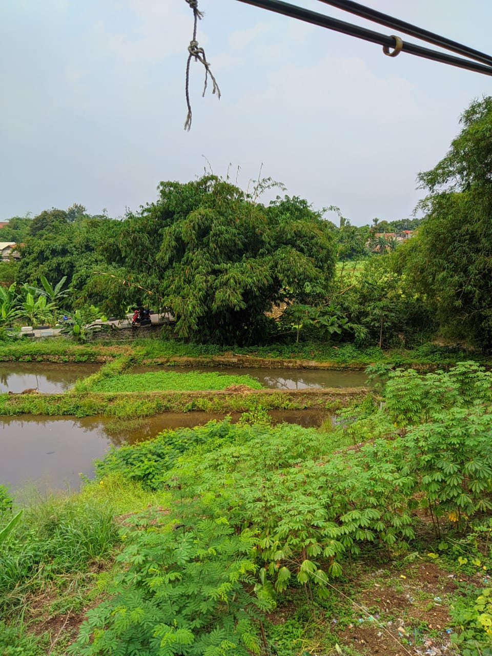 Dijual cepat Tanah dan Empang kawasan Cihideung Hilir