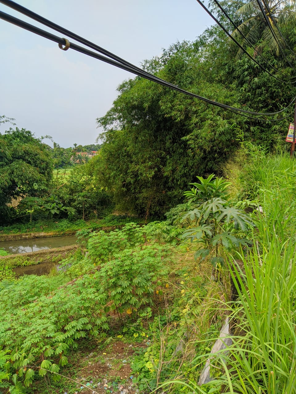 Dijual cepat Tanah dan Empang kawasan Cihideung Hilir