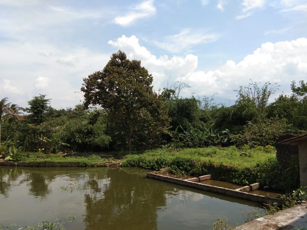 Dijual cepat Tanah dan Empang kawasan Cihideung Hilir