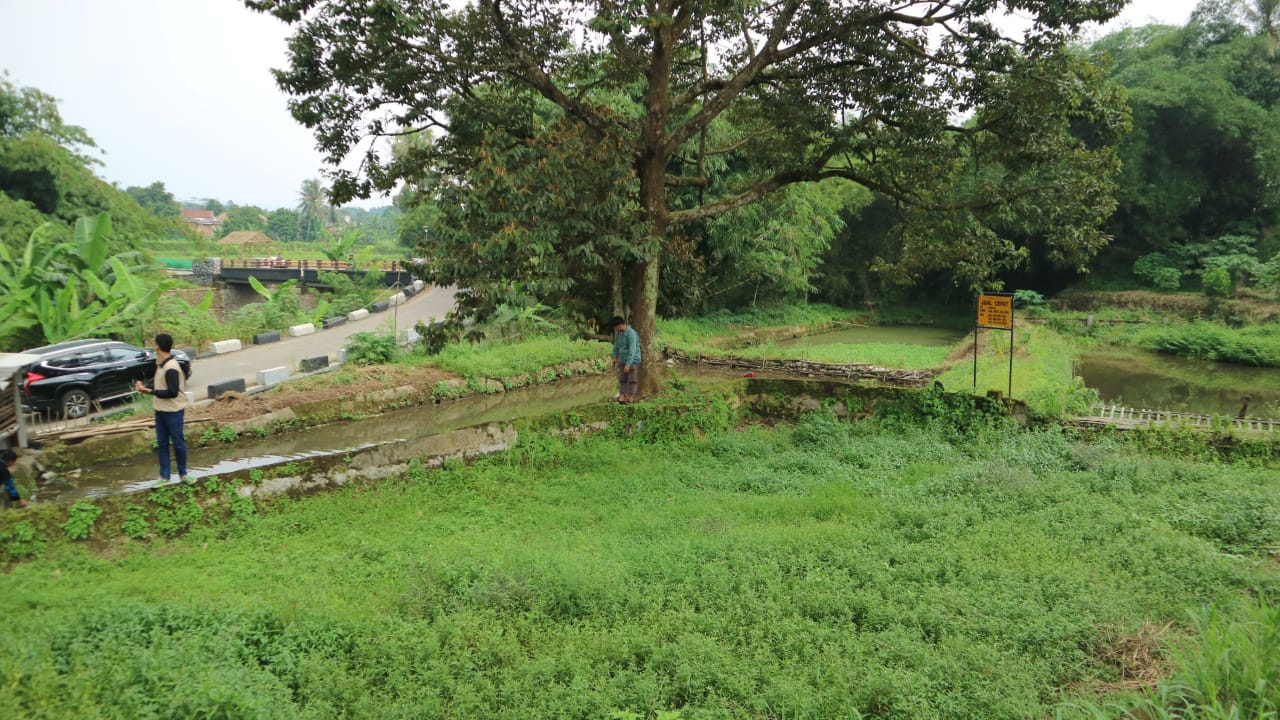 Dijual cepat Tanah dan Empang kawasan Cihideung Hilir