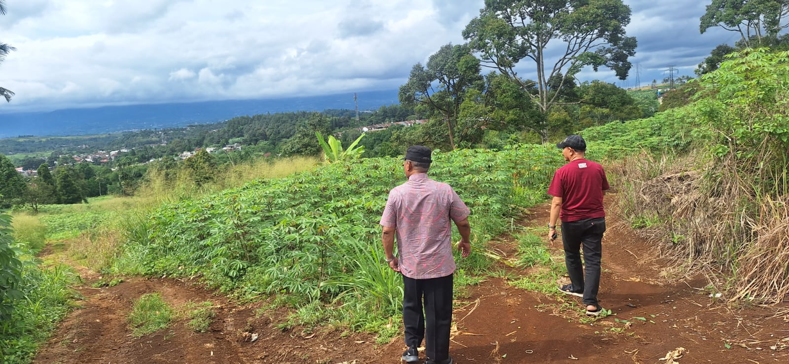 Dijual Cepat Tanah Murah 25 Hektar Pinggir Tol Ciambar Sukabumi
