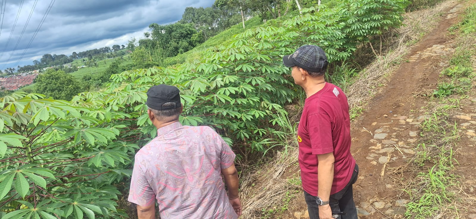 Dijual Cepat Tanah Murah 25 Hektar Pinggir Tol Ciambar Sukabumi