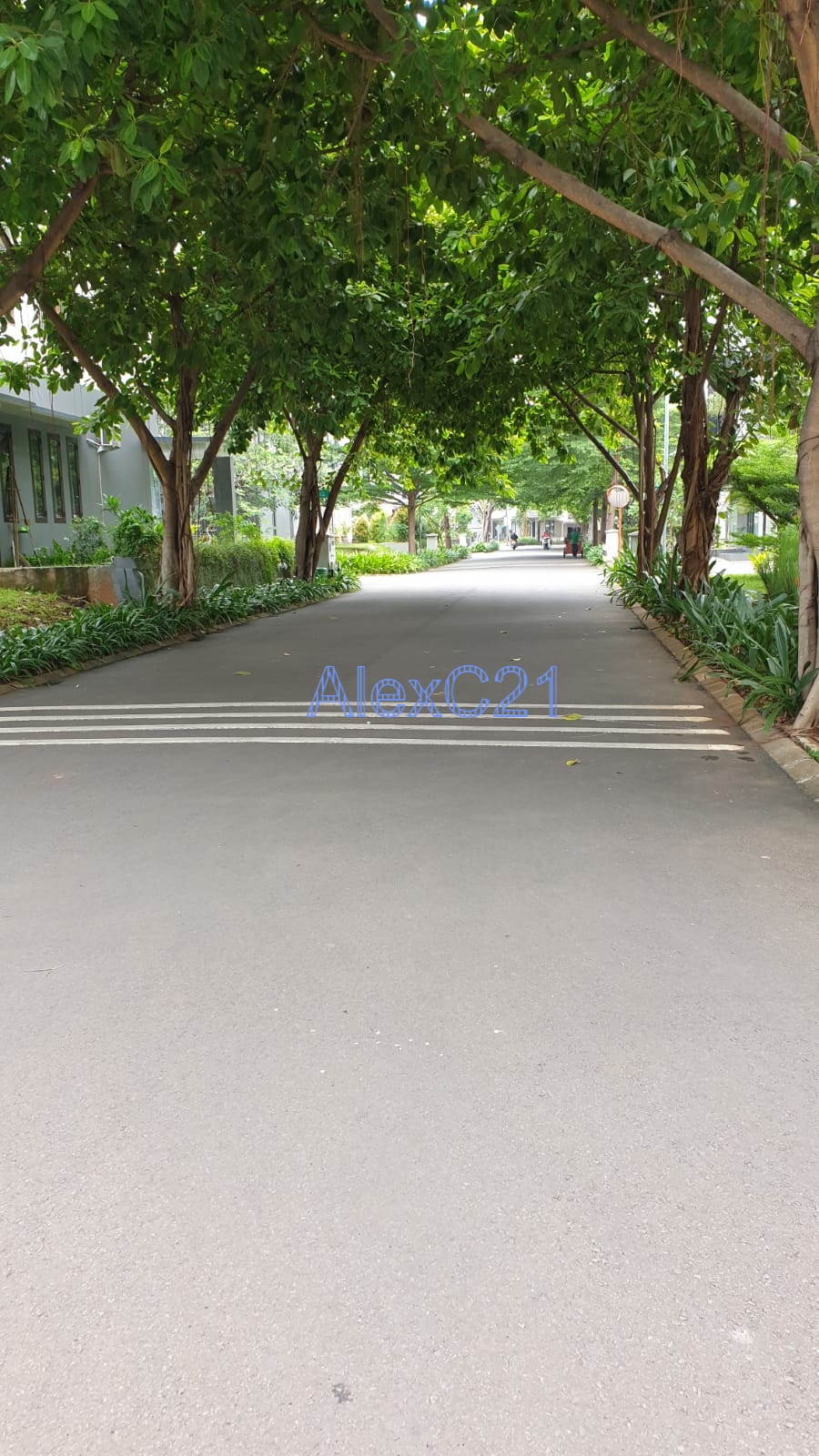 Dijual rumah 2 lantai semi furnished di Premier Terrace, Ciracas