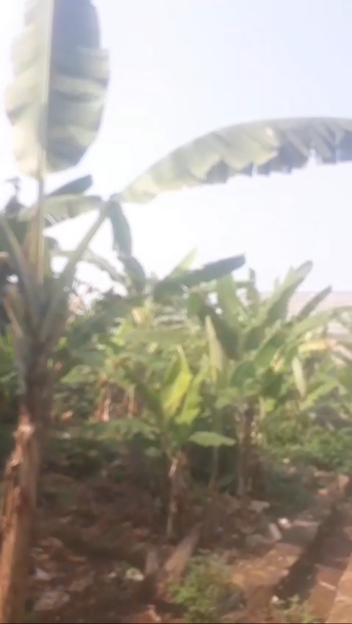 Tanah murah 45 m2 akses motor dekat grand depok city