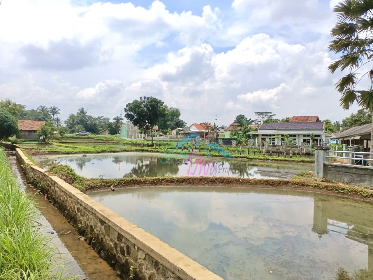 JUAL MURAH TANAH EMPANG PINGGIR JALAN Kp. BABAKAN SABRANG CISEEN