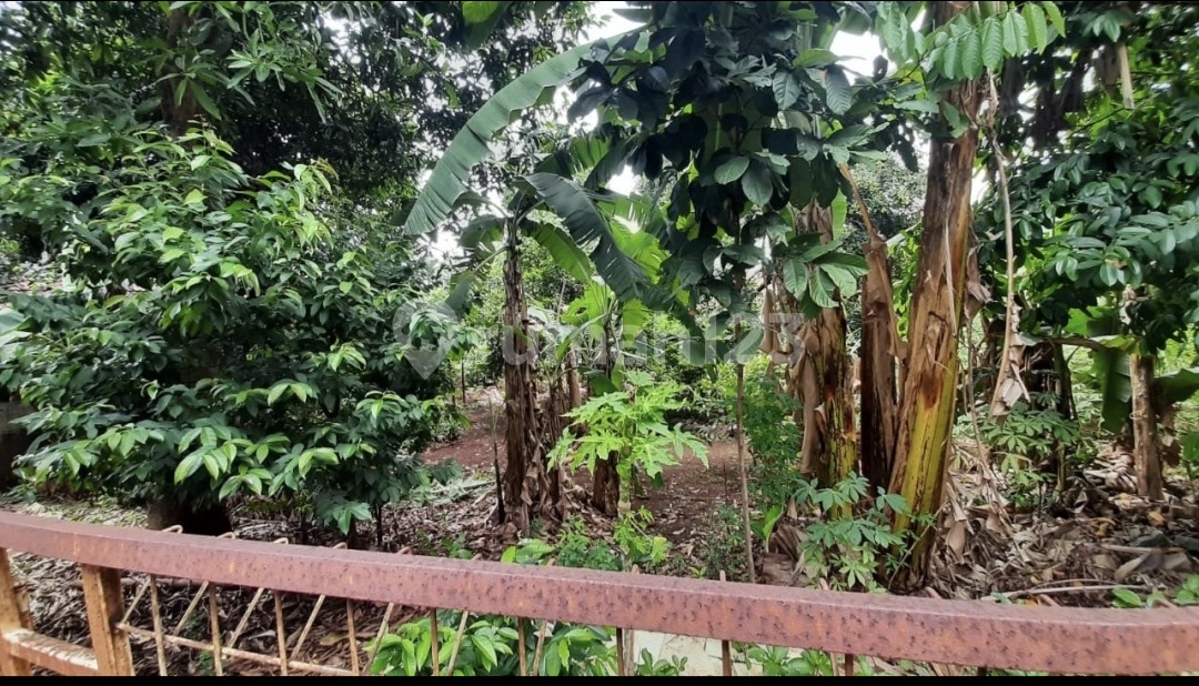 Tanah di jln.h.saleh pamulang