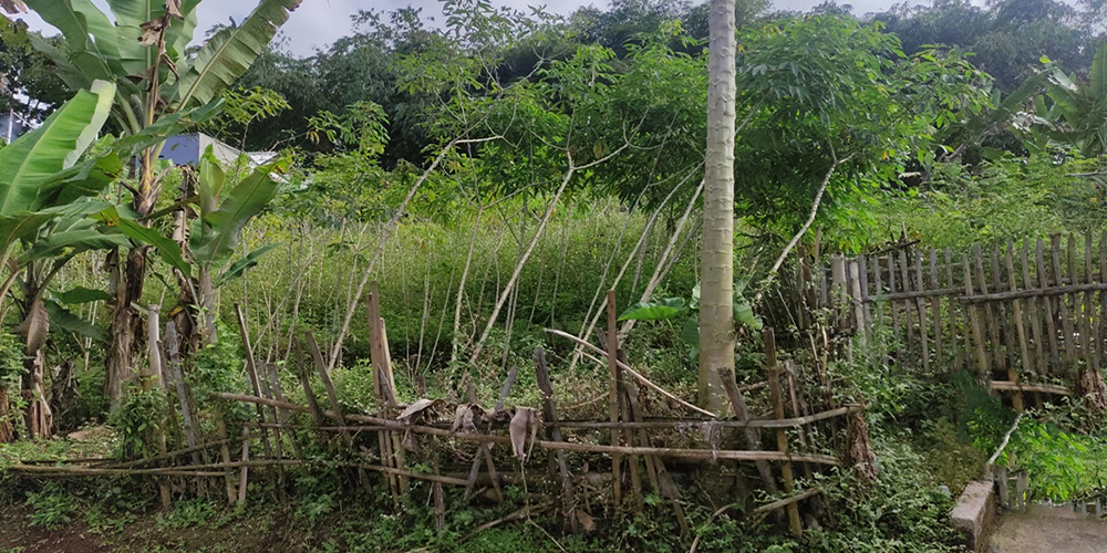 Tanah Utk Rmh Kost atau Cluster Dekat Unpad ITB IPDN Jatinangor