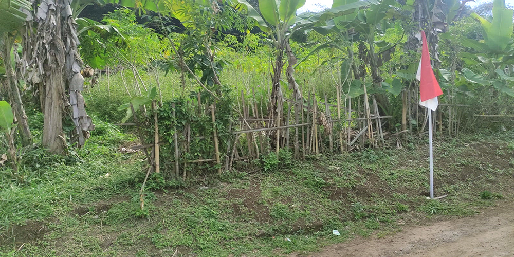 Tanah Utk Rmh Kost atau Cluster Dekat Unpad ITB IPDN Jatinangor