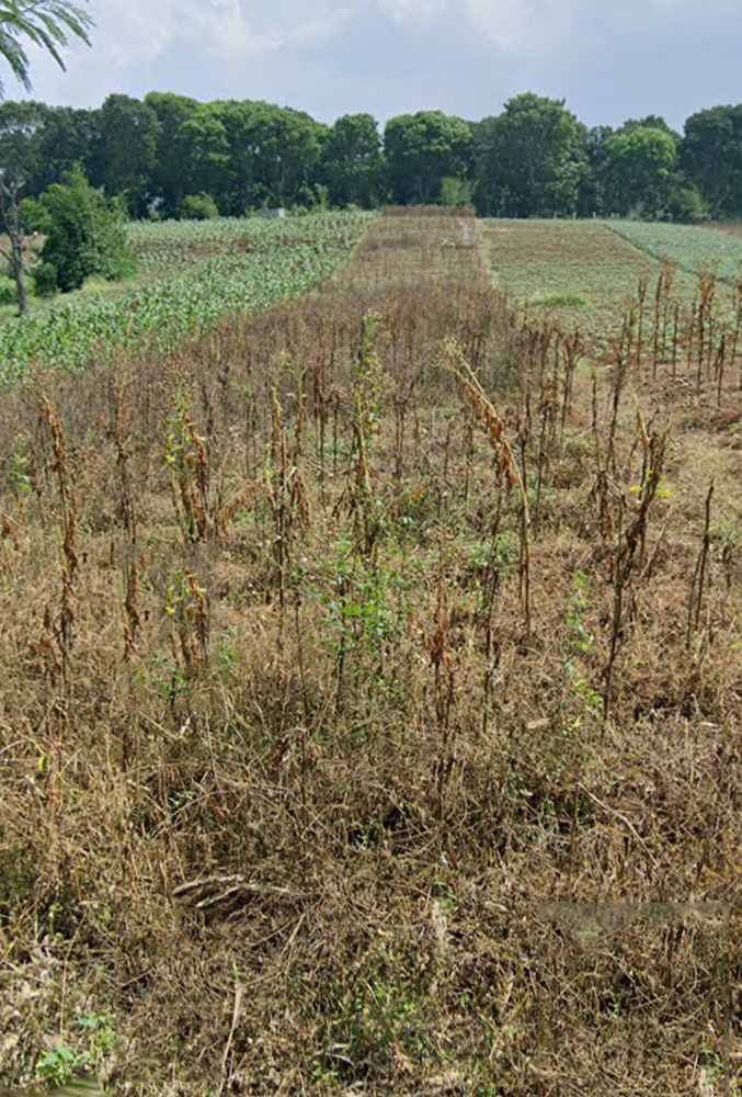 Tanah Utk Rumah Kost dan Student House di Jatinangor Sumedang