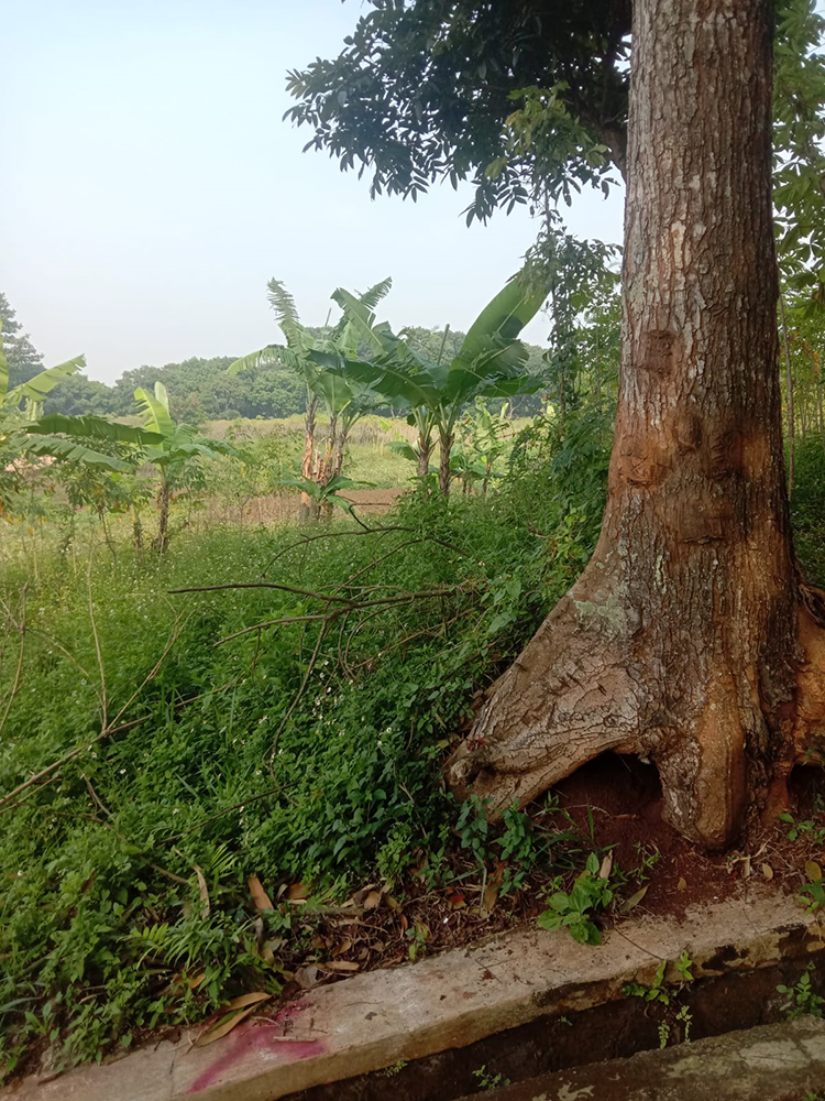 Tanah Utk Rumah Kost dan Student House di Jatinangor Sumedang