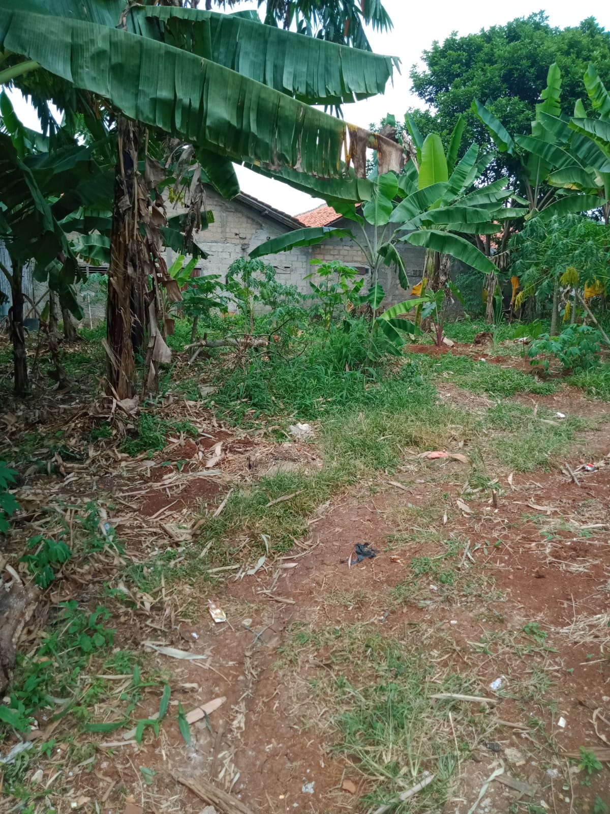 Tanah 210 m2 akses motor jual murah Kalibaru Depok