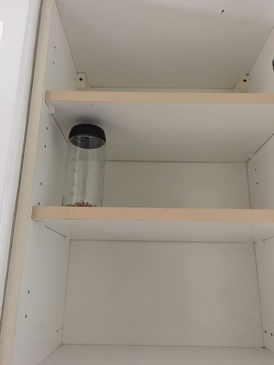 Sewa Apartment Taman Pasadenia Pulo Mas, Pulo Gadung, Jakarta