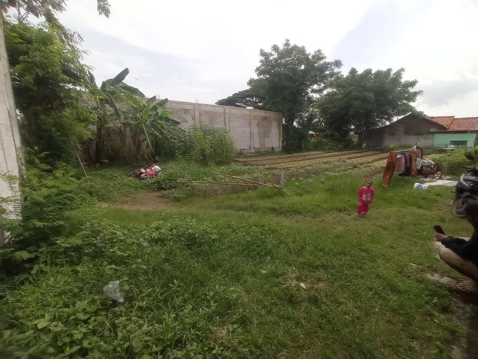 Dijual Murah Tanah 545 M2 di Sukamekar Kec. Sukawangi Bekasi