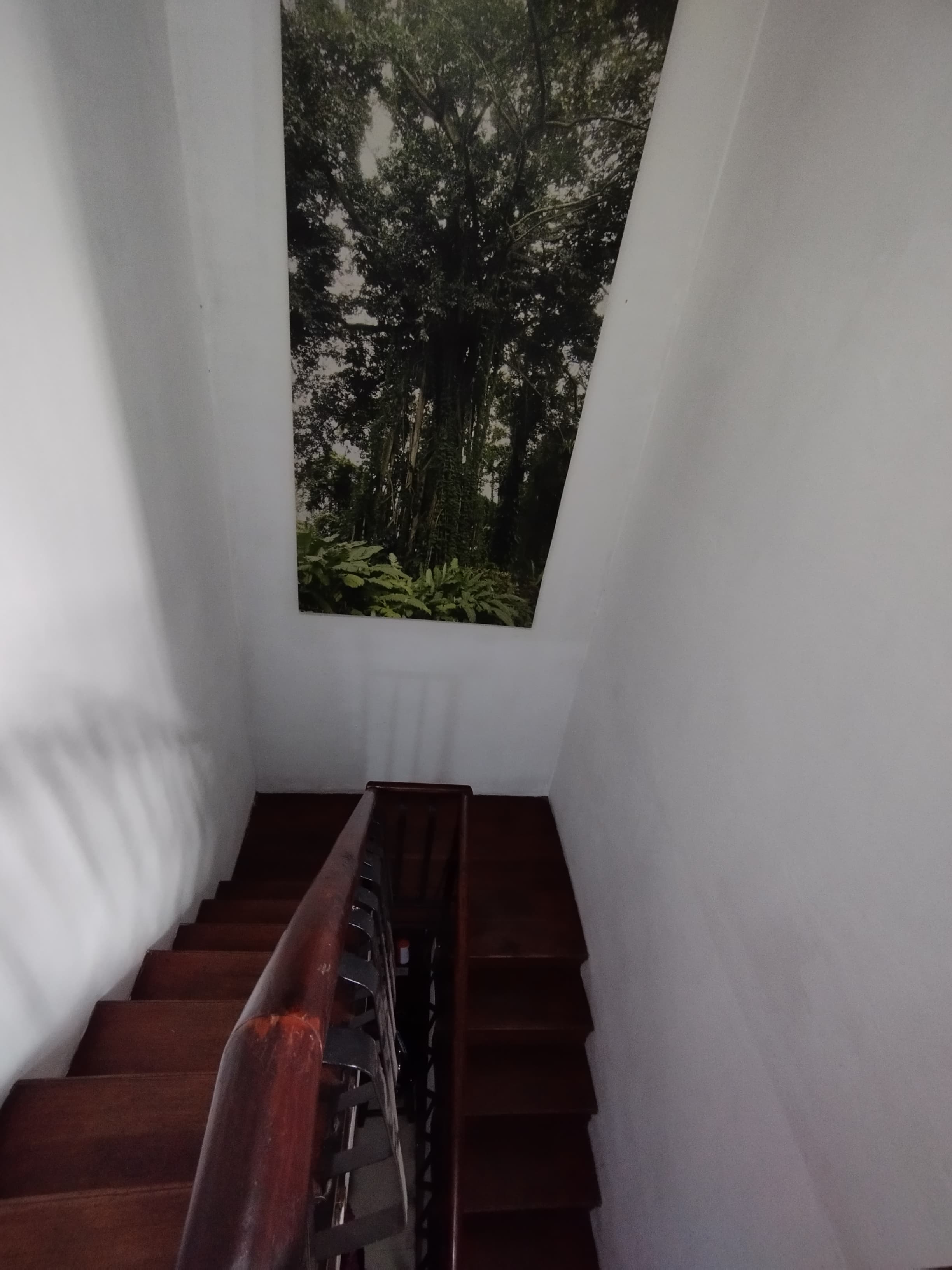 Jual rumah kost 16 kamar di Kuningan, Setia Budi, Jakarta Selata