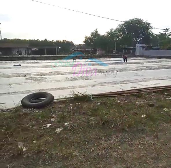 PABRIK PENGGILINGAN PADI DI HAURGEULIS