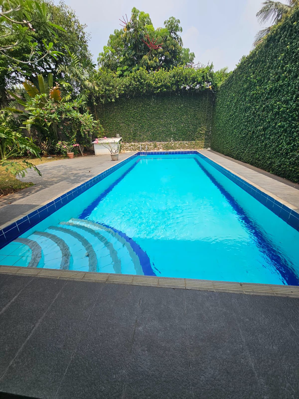 Sewa Rumah mewah dalam komplek di Pejaten Barat, Jakarta Selatan