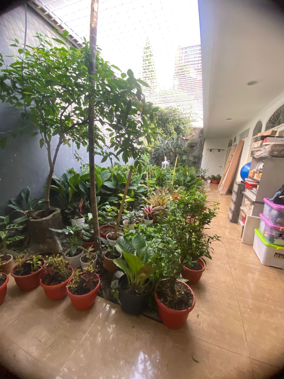 Jual/Sewa di Agung Podomoro, Sunter, Jakarta Utara