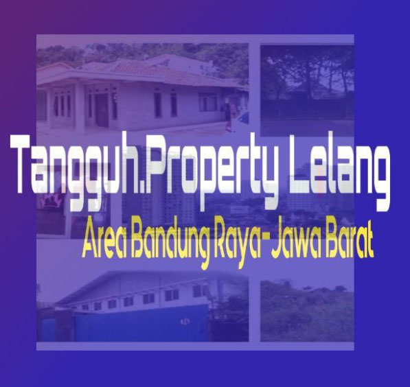 Tangguh Property